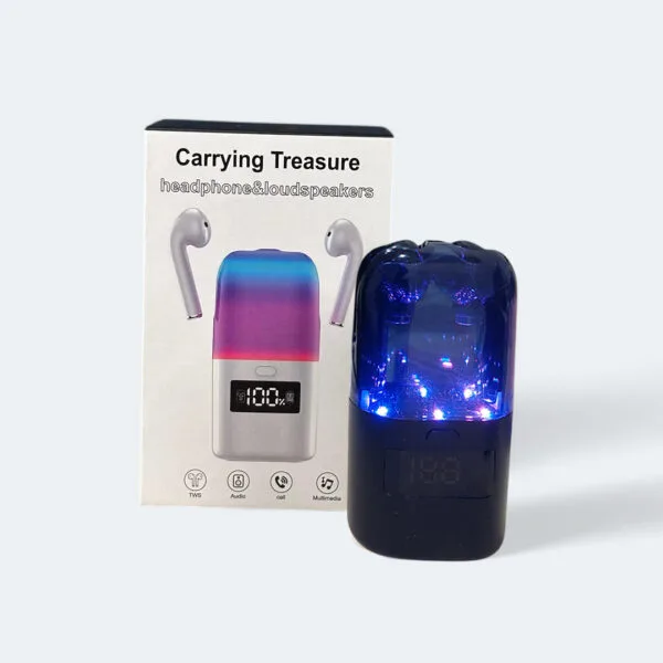Carrying Treasure And Headphone With Loudspeaker