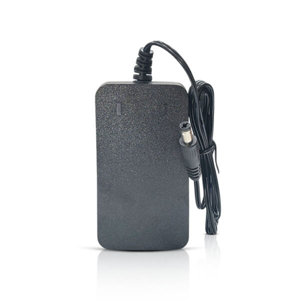 WGP Mini UPS Charger - 12V/2A